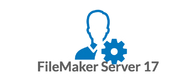 FileMaker divisent le code principal de permis du logiciel 17, pro permis de Windows Filemaker fournisseur